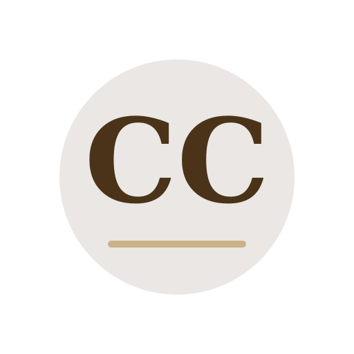 Chan Chimney Services logo